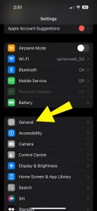 Tap General, then iPhone Storage.